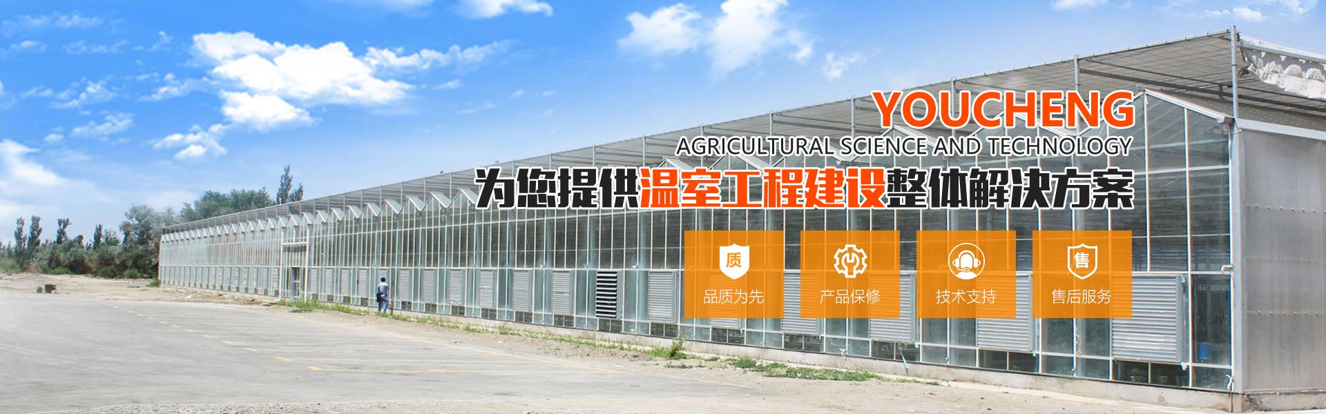 薄膜温室午夜成人在线视频